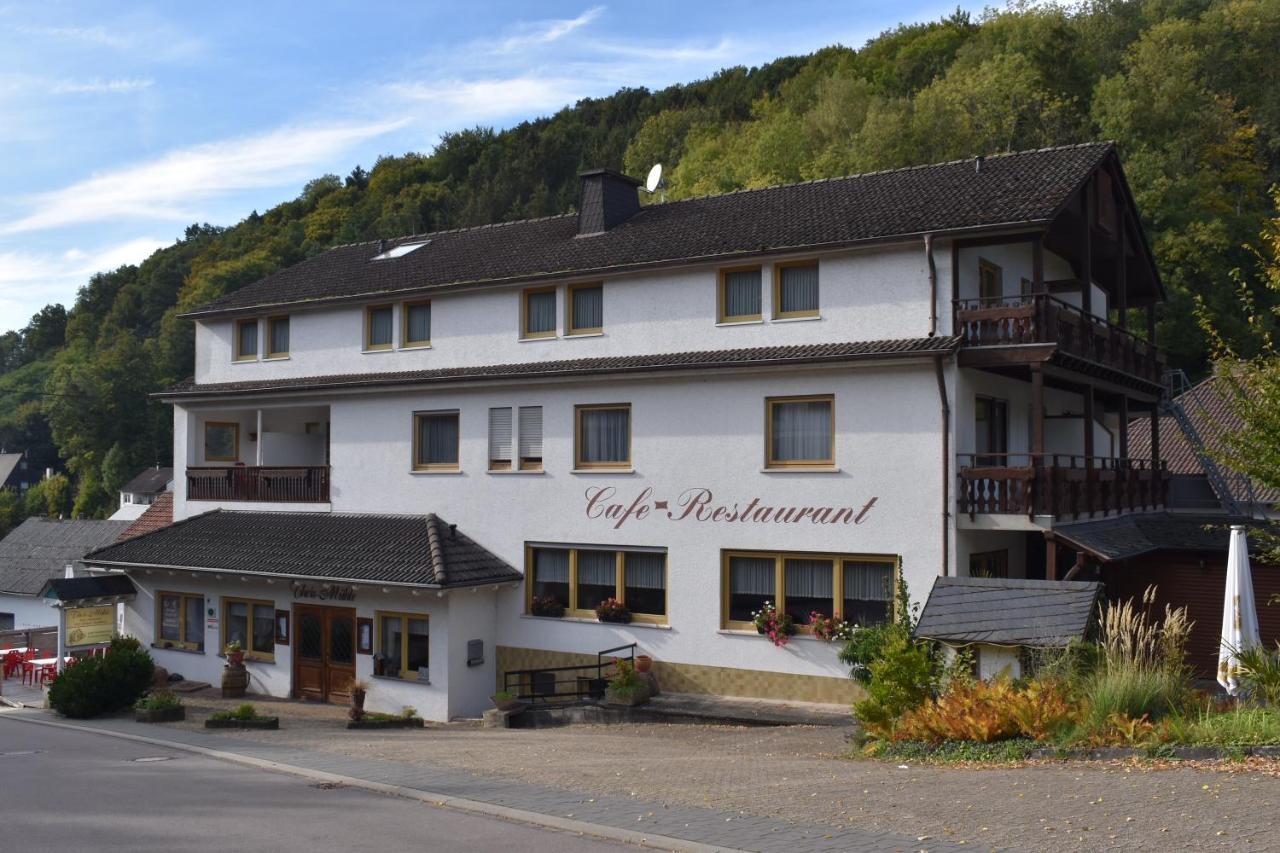 Hotel-Restaurant Theis-Muehle Бирсдорф Экстерьер фото
